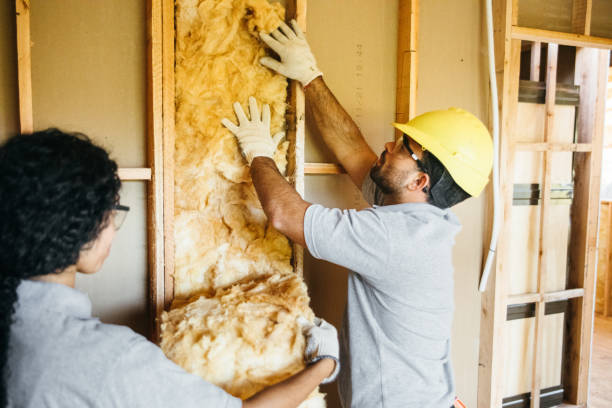 Best Spray Foam Insulation  in Sidney, OH